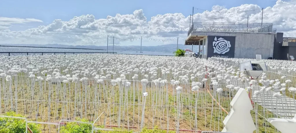 sea view restaurants in cebu 10000 roses cafe 05